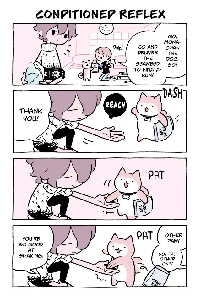 Wonder Cat Kyuu-chan Chapter 521 1